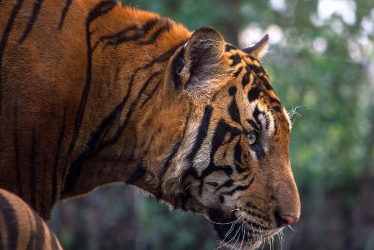 A short Inspirational story